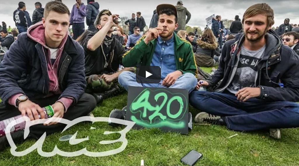 4 of the best 420 events around the world NZ Weed
